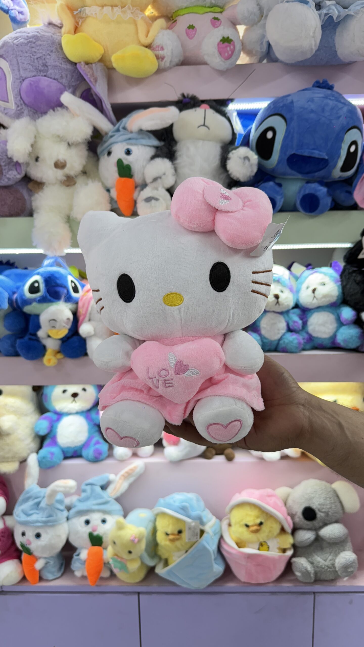 کیتی قلب به دست