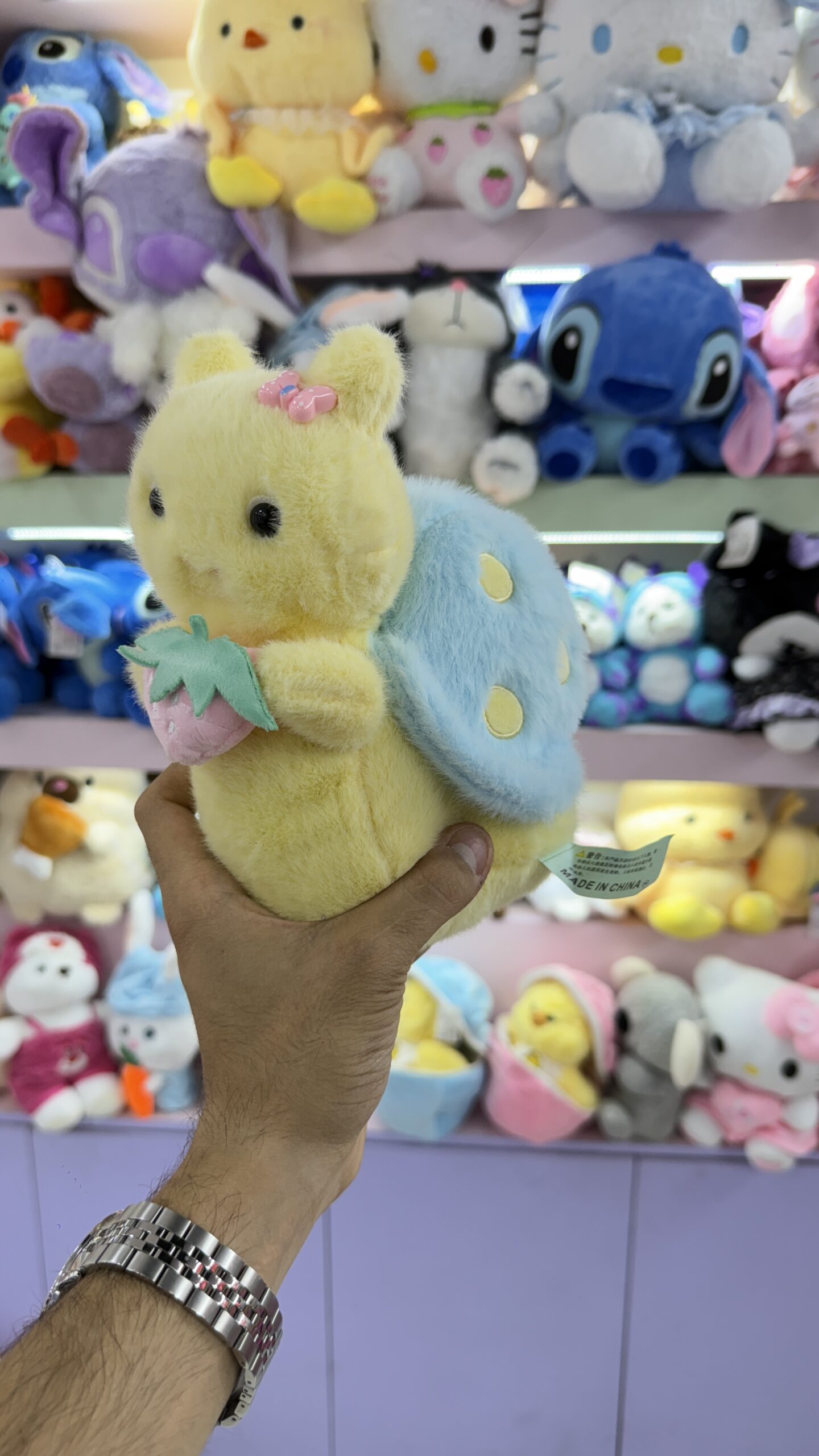 حلزون میوه ایی