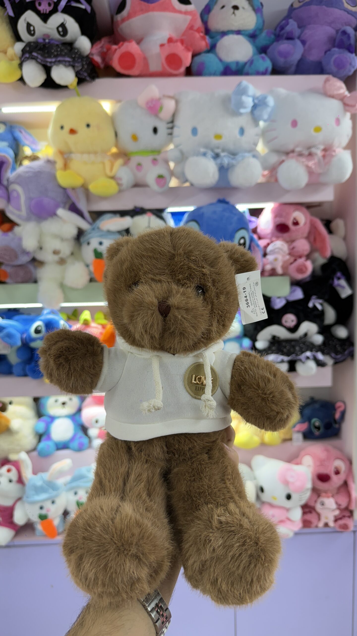 خرس قهوه ایی